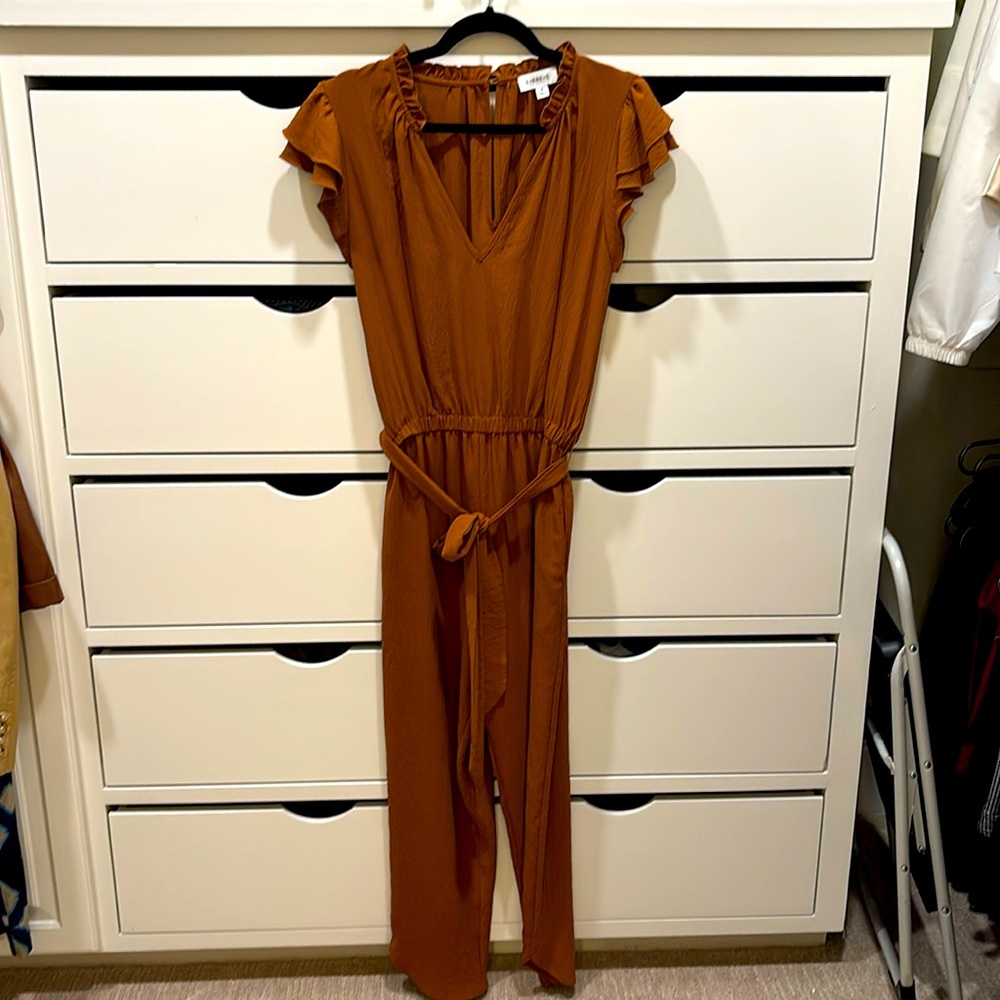 Evereve Rust Jumpsuit with Ruffle Sleeves